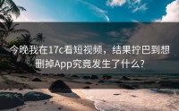 今晚我在17c看短视频，结果拧巴到想删掉App究竟发生了什么?