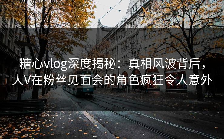 糖心vlog深度揭秘：真相风波背后，大V在粉丝见面会的角色疯狂令人意外